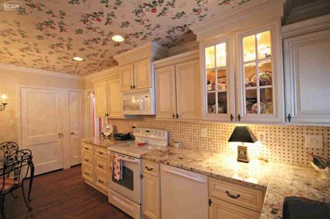 405 Coutant St, Flushing, MI 48433 photo 7