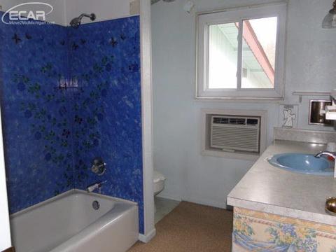 313 N Elms Rd, Flushing, MI 48433 photo 14