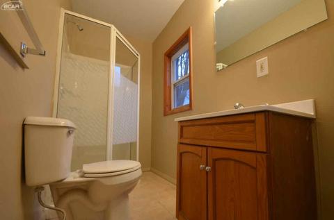 513 Pine St, Clio, MI 48420 photo 17