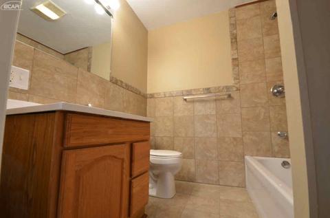 513 Pine St, Clio, MI 48420 photo 11
