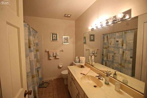 5135 Cedardale Ln, Flushing, MI 48433 photo 28
