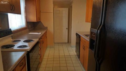 241 Lynn St, Flushing, MI 48433 photo 4