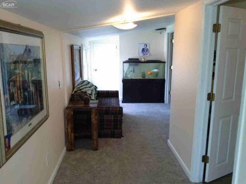 521 E Broad St, Linden, MI 48451 photo 12