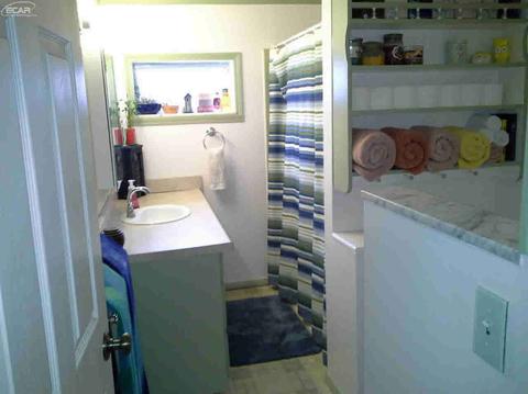 521 E Broad St, Linden, MI 48451 photo 9