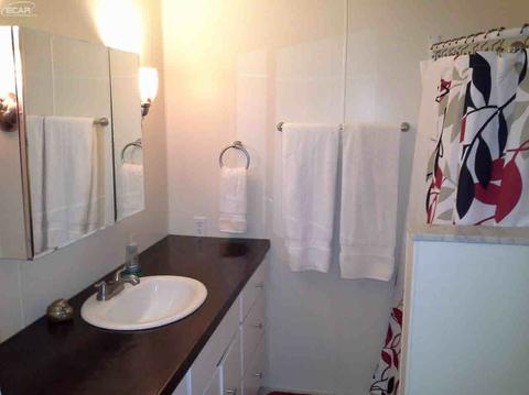 521 E Broad St, Linden, MI 48451 photo 11