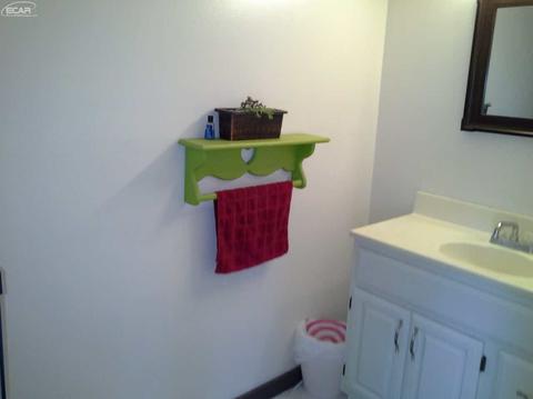 521 E Broad St, Linden, MI 48451 photo 17