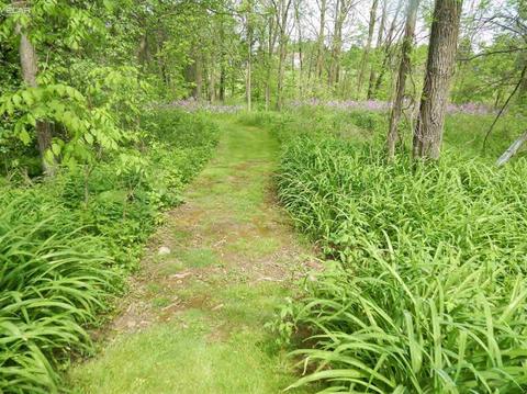 6227 River Rd, Flushing, MI 48433 photo 72