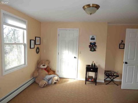 6227 River Rd, Flushing, MI 48433 photo 43