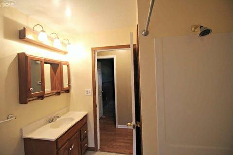 431 Primrose Ln, Flushing, MI 48433 photo 21