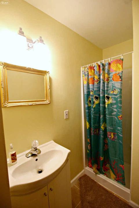 527 Warren Ave, Flushing, MI 48433 photo 13