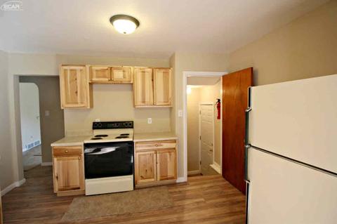 527 Warren Ave, Flushing, MI 48433 photo 5