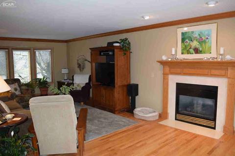 6484 Stonebrook Ln, Flushing, MI 48433 photo 20
