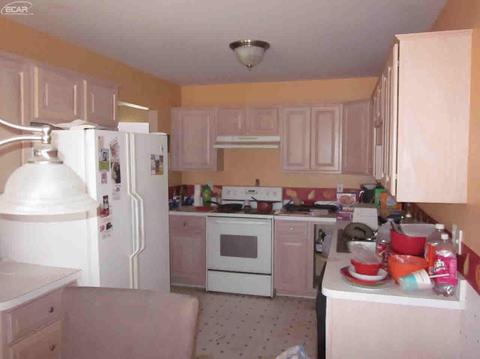 110 Quail Ct, Capac, MI 48014 photo 4