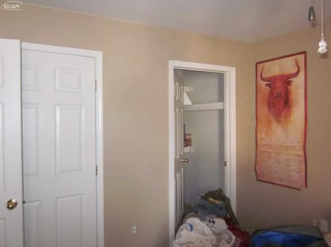 110 Quail Ct, Capac, MI 48014 photo 11