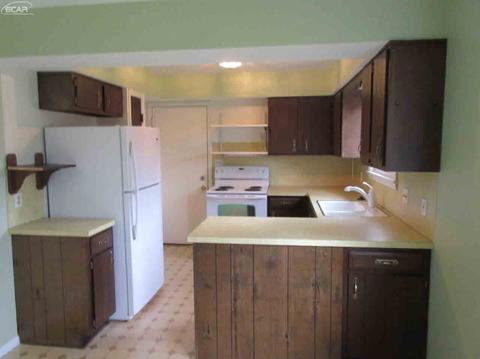 1537 Suzanne Ct, Flushing, MI 48433 photo 14