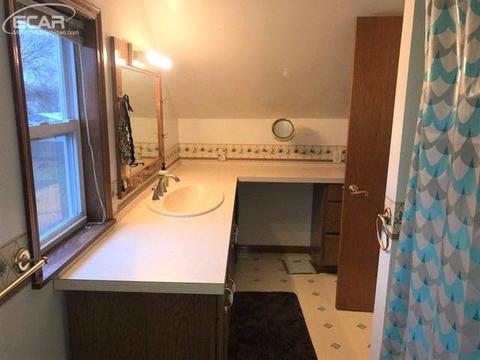 1207 E Frances Rd, Mount Morris, MI 48458 photo 10