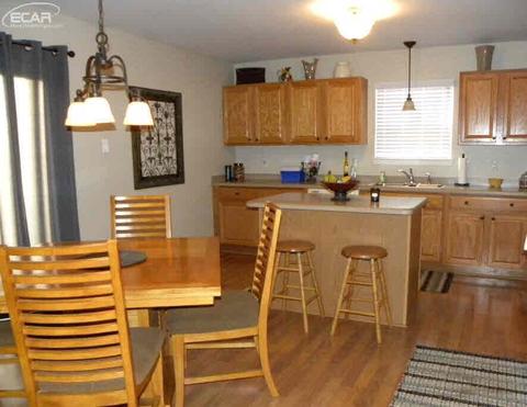 1193 Emerald Forest Ln, Davison, MI 48423 photo 5