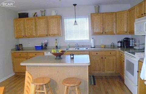 1193 Emerald Forest Ln, Davison, MI 48423 photo 4