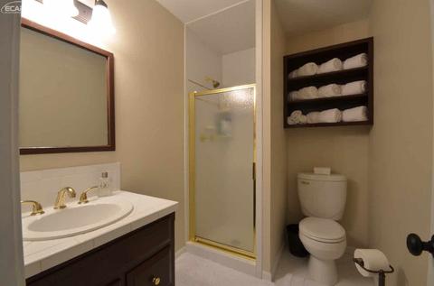 5339 Butternut Tree Ct, Flint, MI 48532 photo 26