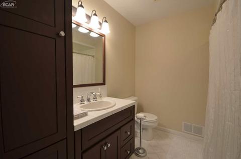 5339 Butternut Tree Ct, Flint, MI 48532 photo 29