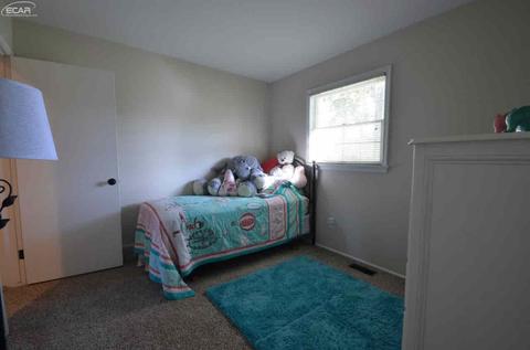 5339 Butternut Tree Ct, Flint, MI 48532 photo 28