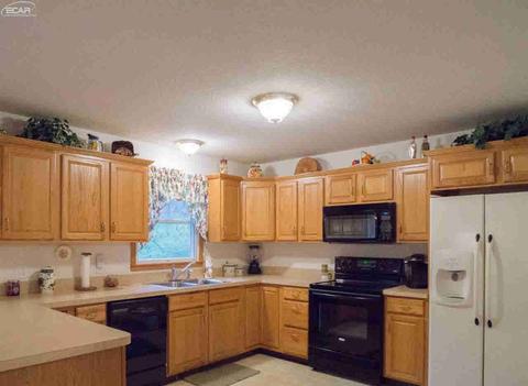 10123 W Mt Morris Rd, Flushing, MI 48433 photo 9