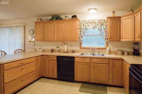 10123 W Mt Morris Rd, Flushing, MI 48433 photo 10