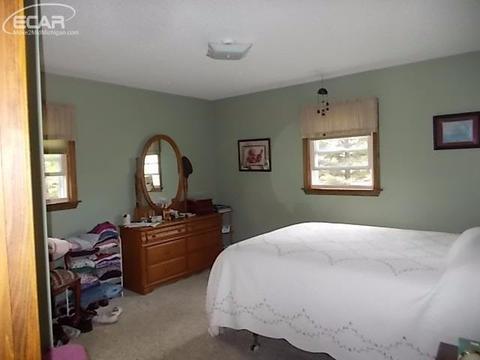 12294 W Mount Morris Rd, Flushing, MI 48433 photo 13
