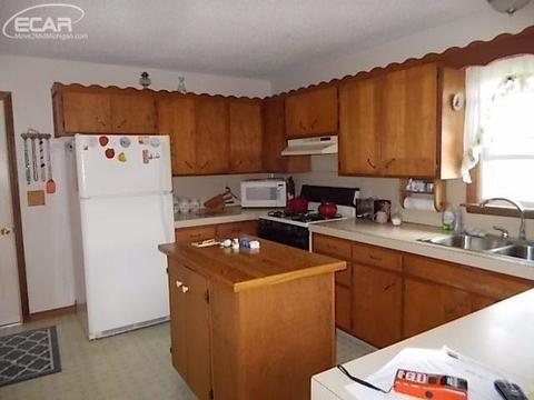 12294 W Mount Morris Rd, Flushing, MI 48433 photo 6