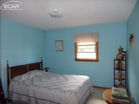 12294 W Mount Morris Rd, Flushing, MI 48433 photo 9