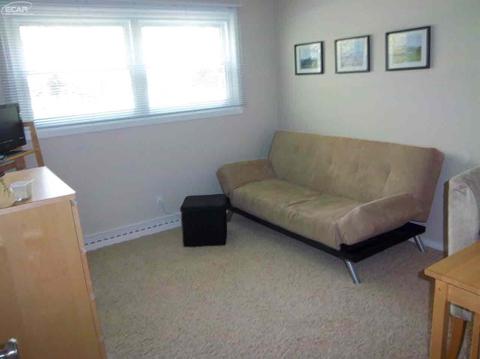 4223 Dillon Rd, Flushing, MI 48433 photo 25