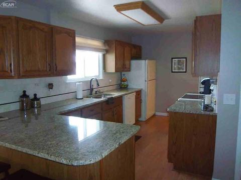 4223 Dillon Rd, Flushing, MI 48433 photo 13
