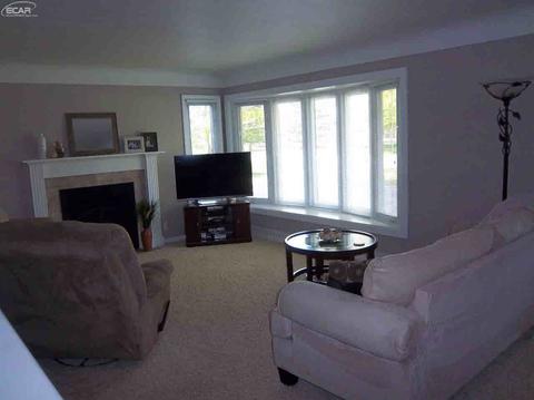 4223 Dillon Rd, Flushing, MI 48433 photo 19