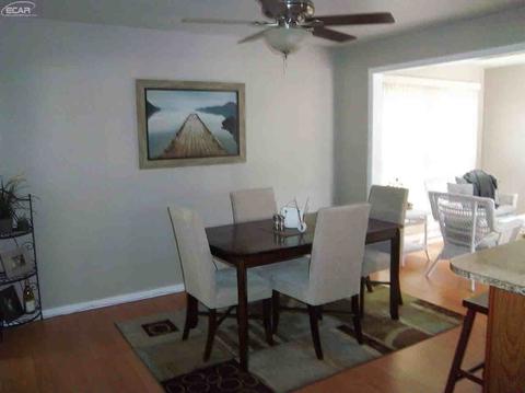 4223 Dillon Rd, Flushing, MI 48433 photo 16