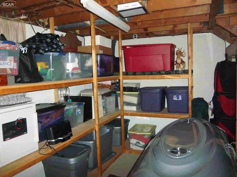 4223 Dillon Rd, Flushing, MI 48433 photo 32