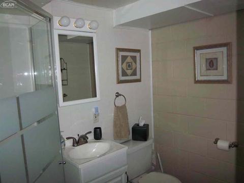 4223 Dillon Rd, Flushing, MI 48433 photo 27