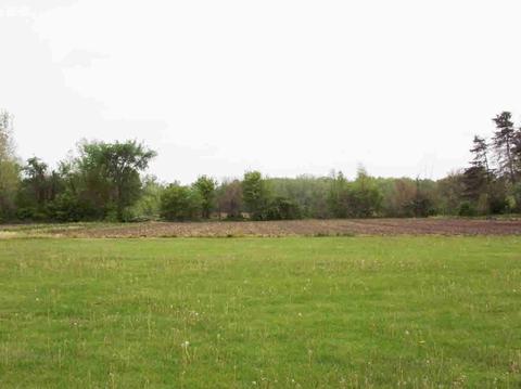 7157 Coldwater Rd, Flushing, MI 48433 photo 35