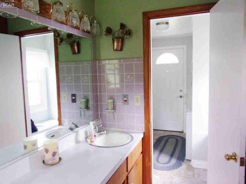 7157 Coldwater Rd, Flushing, MI 48433 photo 19