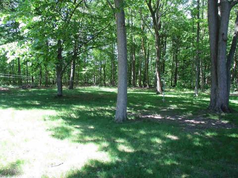 1204 S Elms Rd, Flint, MI 48532 photo 3