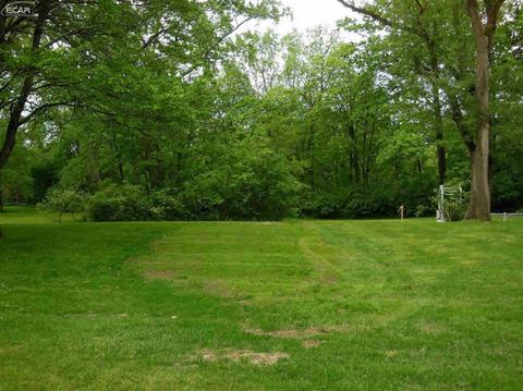 1038 Main St, Flushing, MI 48433 photo 39