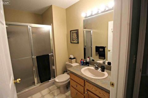 245 Aberdeen Ct, Flushing, MI 48433 photo 17