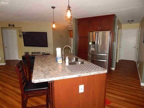 452 Windy Blf, Flushing, MI 48433 photo 9