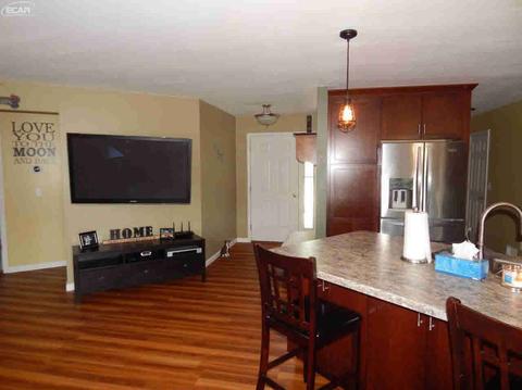 452 Windy Blf, Flushing, MI 48433 photo 15