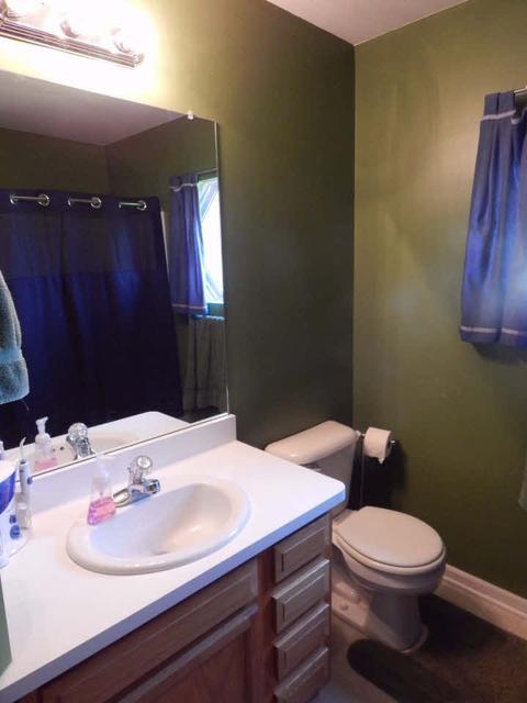 452 Windy Blf, Flushing, MI 48433 photo 19
