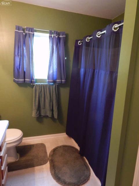 452 Windy Blf, Flushing, MI 48433 photo 20