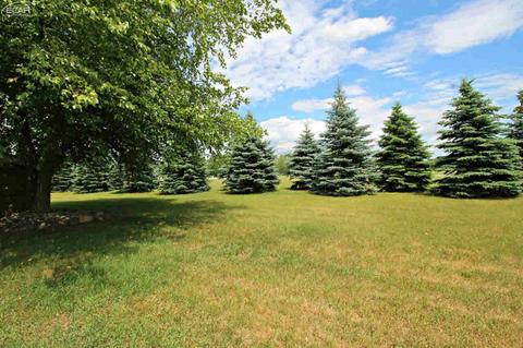 8010 Morrish Rd, Flushing, MI 48433 photo 12