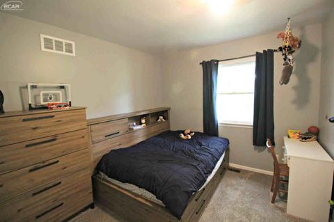 9355 Beecher Rd, Flushing, MI 48433 photo 27