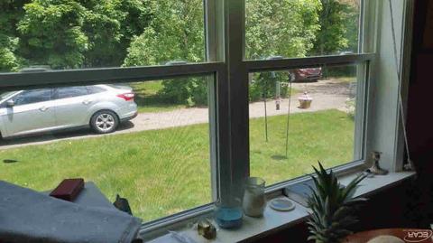 5377 N Elms Rd, Flushing, MI 48433 photo 39