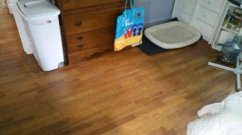 5377 N Elms Rd, Flushing, MI 48433 photo 37
