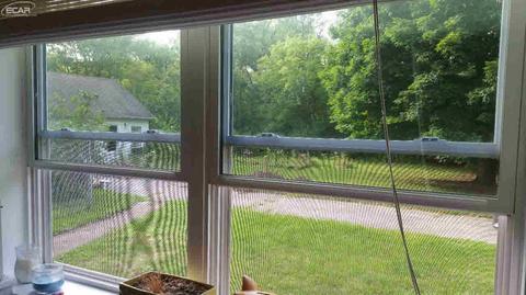 5377 N Elms Rd, Flushing, MI 48433 photo 7